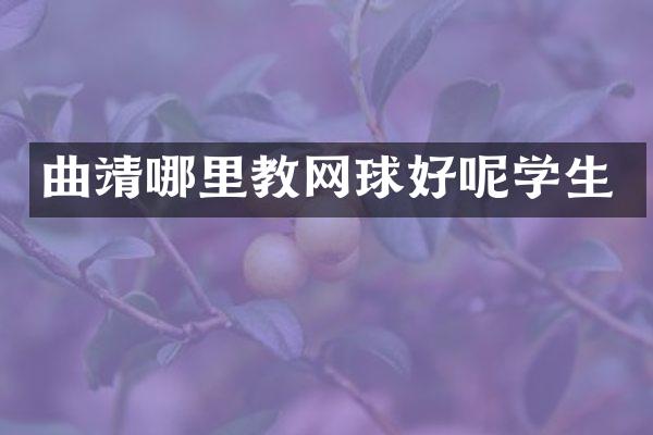 曲靖哪里教网球好呢学生