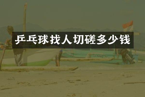 乒乓球找人切磋多少钱