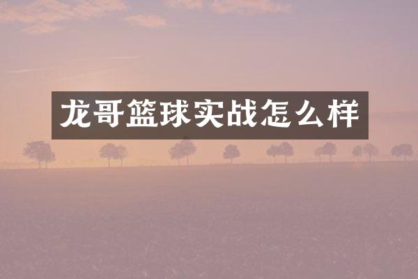 龙哥篮球实战怎么样
