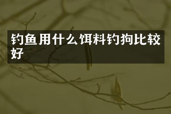 钓鱼用什么饵料钓狗比较好