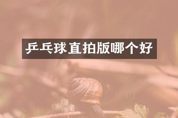 乒乓球直拍版哪个好