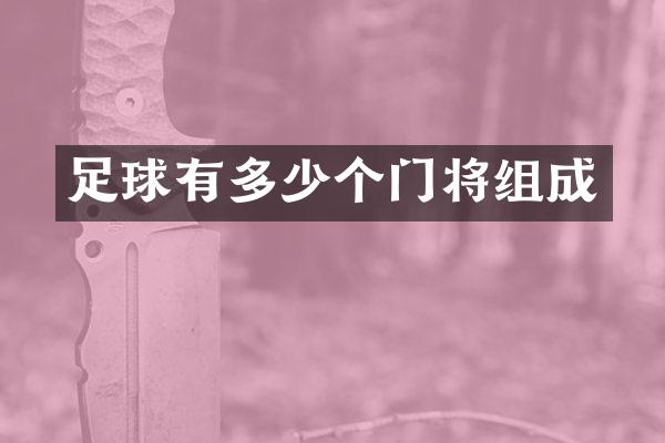 足球有多少个门将组成