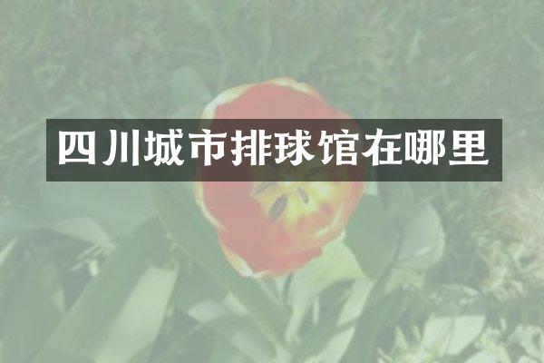 四川城市排球馆在哪里
