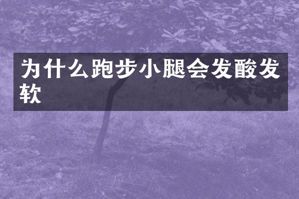 为什么跑步小腿会发酸发软