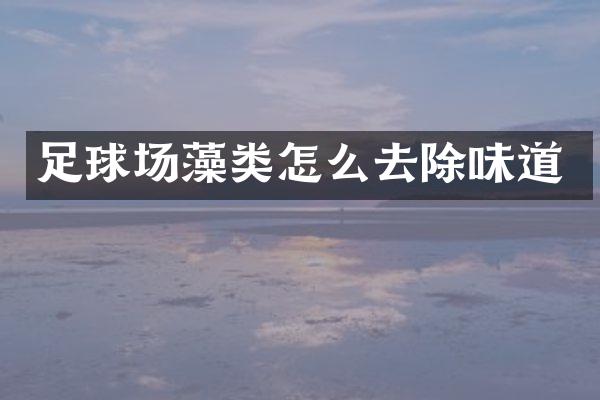 足球场藻类怎么去除味道