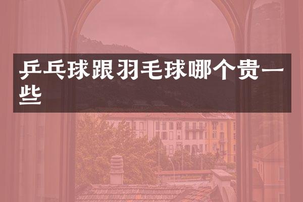 乒乓球跟羽毛球哪个贵一些