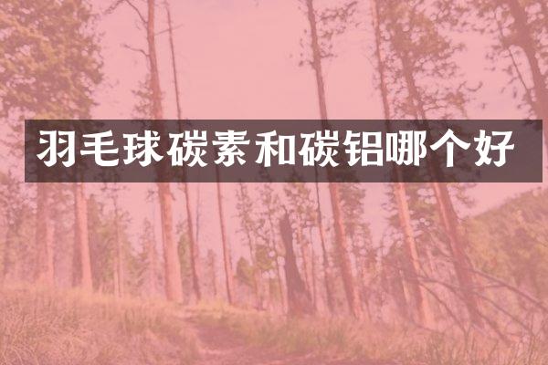 羽毛球碳素和碳铝哪个好