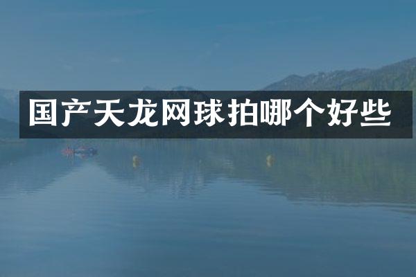国产天龙网球拍哪个好些