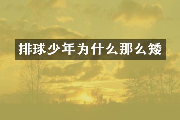 排球少年为什么那么矮