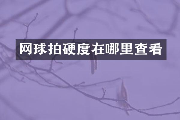 网球拍硬度在哪里查看