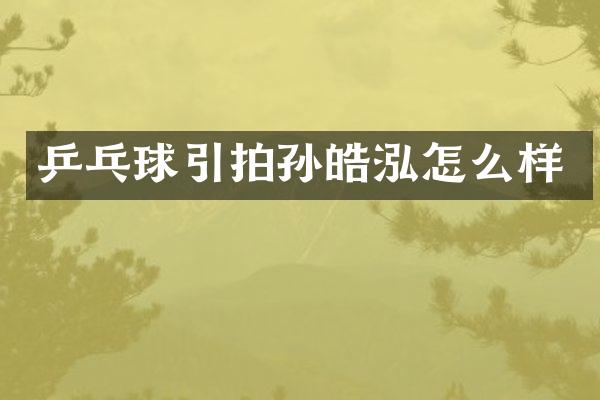 乒乓球引拍孙皓泓怎么样