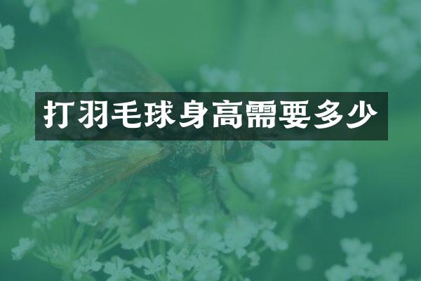 打羽毛球身高需要多少