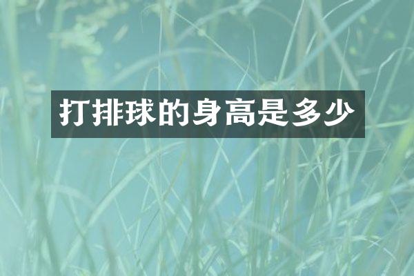 打排球的身高是多少