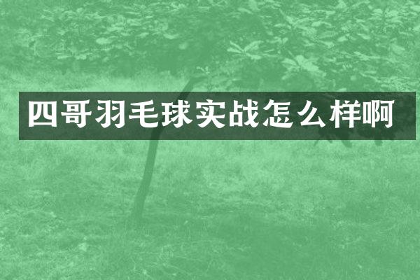 四哥羽毛球实战怎么样啊