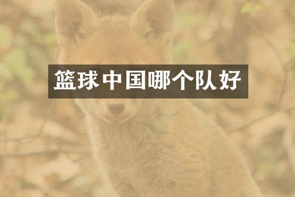 篮球中国哪个队好