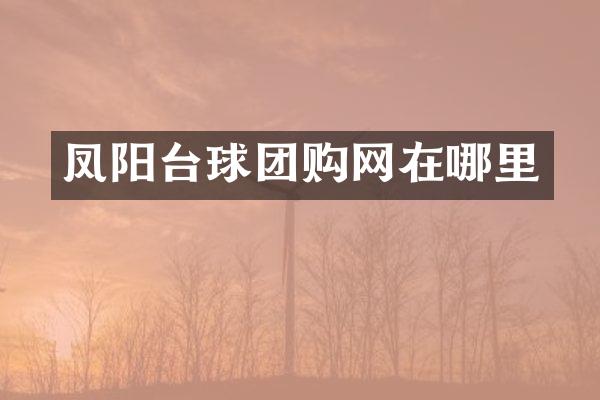 凤阳台球团购网在哪里