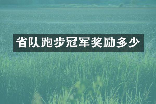 省队跑步冠军奖励多少