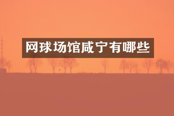 网球场馆咸宁有哪些