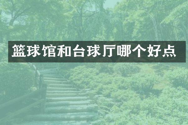篮球馆和台球厅哪个好点
