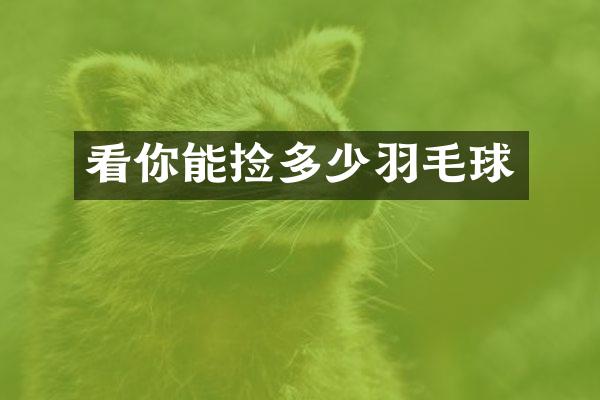看你能捡多少羽毛球