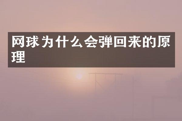 网球为什么会弹回来的原理