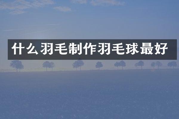 什么羽毛制作羽毛球最好