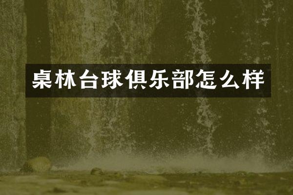 桌林台球俱乐部怎么样