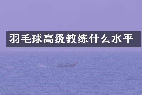 羽毛球高级教练什么水平