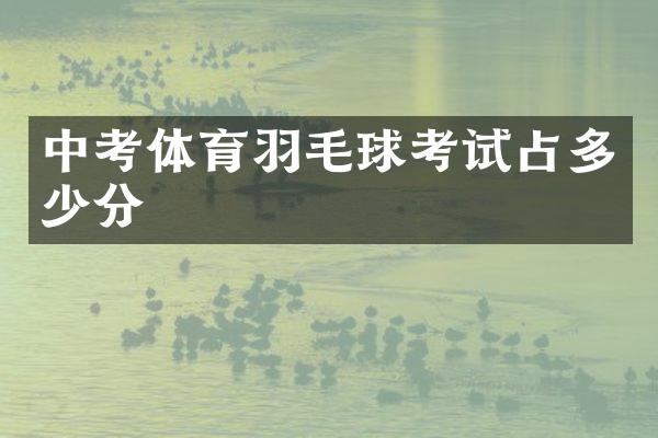 中考体育羽毛球考试占多少分