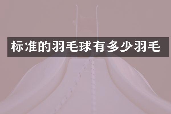 标准的羽毛球有多少羽毛