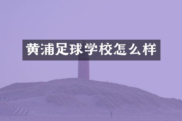黄浦足球学校怎么样