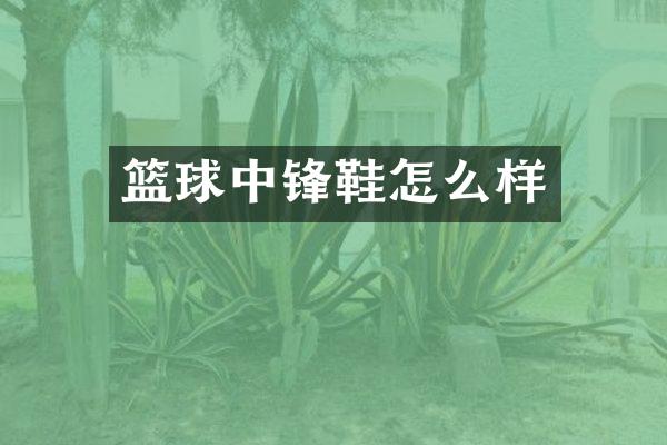 篮球中锋鞋怎么样