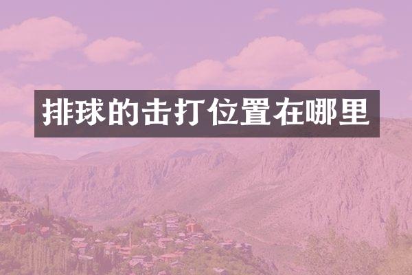 排球的击打位置在哪里