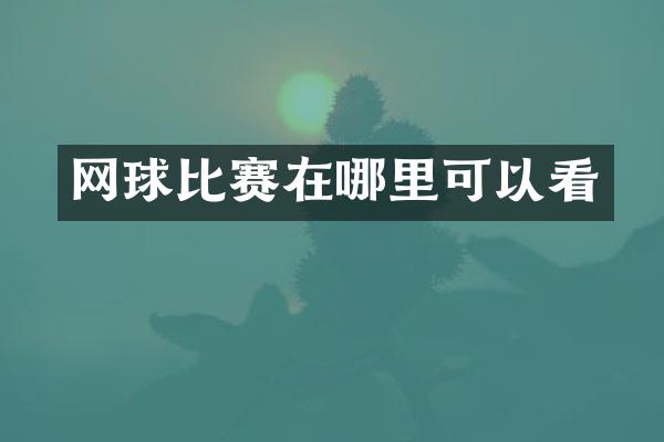网球比赛在哪里可以看