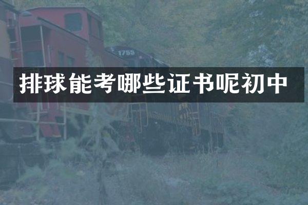 排球能考哪些证书呢初中