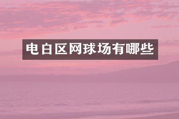 电白区网球场有哪些