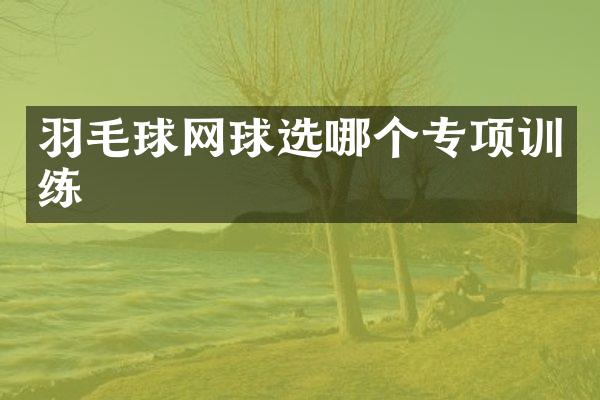 羽毛球网球选哪个专项训练