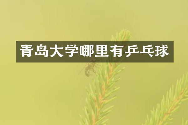 青岛大学哪里有乒乓球