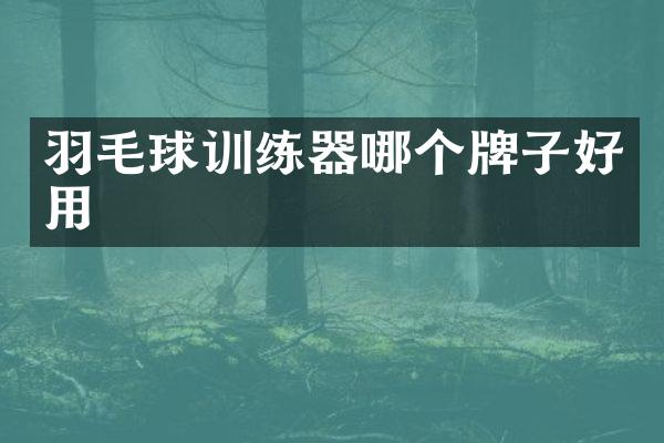 羽毛球训练器哪个牌子好用