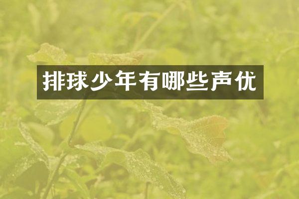 排球少年有哪些声优