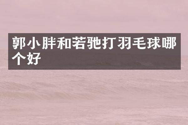 郭小胖和若驰打羽毛球哪个好
