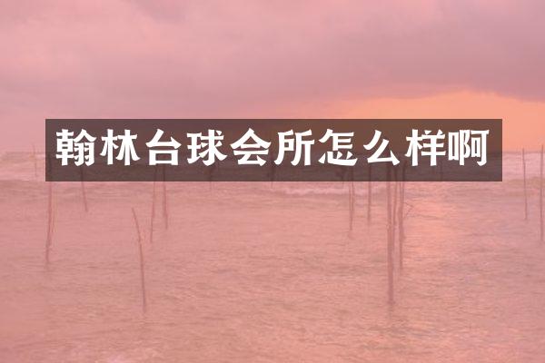 翰林台球会所怎么样啊