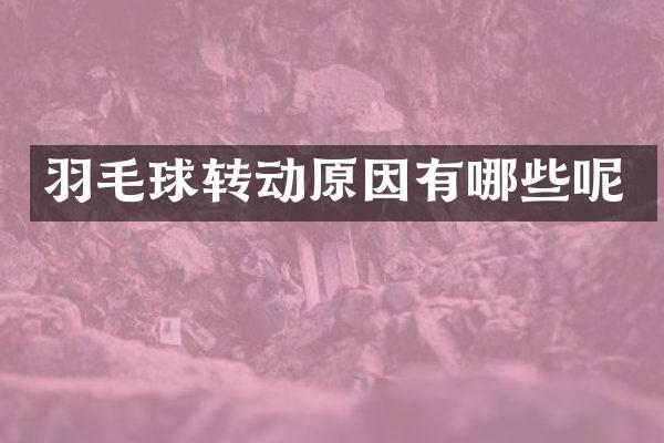 羽毛球转动原因有哪些呢