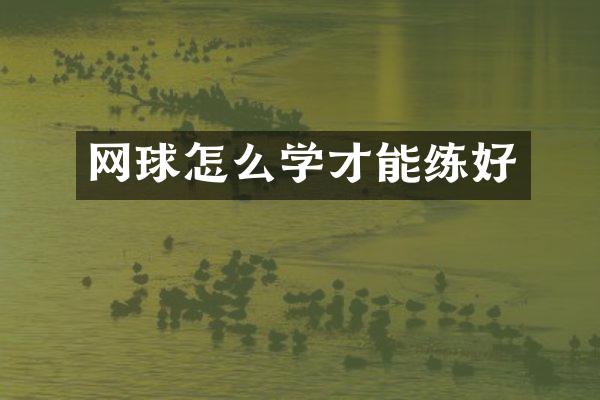 网球怎么学才能练好