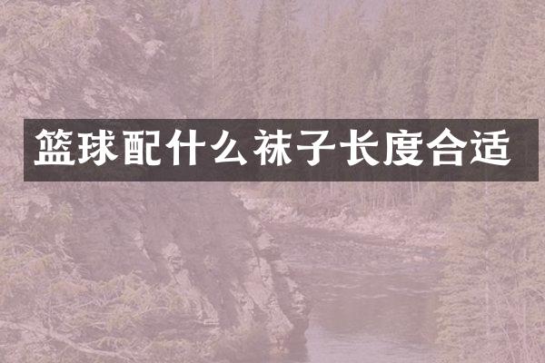 篮球袜子长度合适