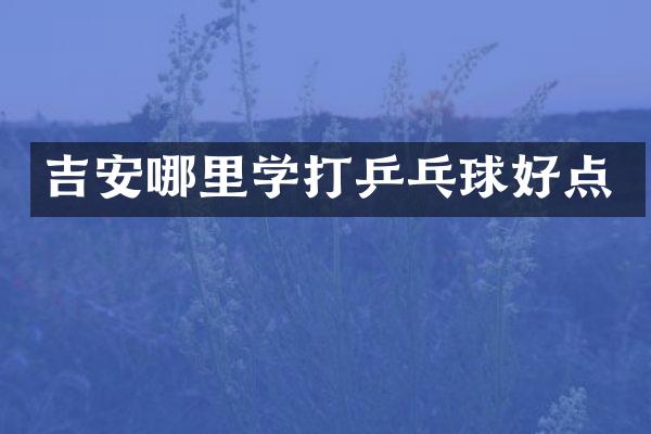 吉安哪里学打乒乓球好点