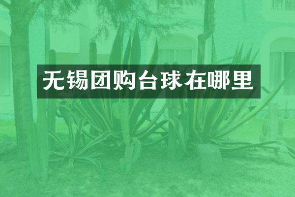无锡团购台球在哪里