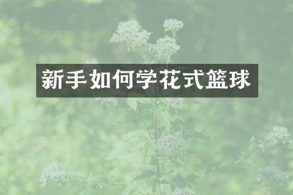 新手如何学花式篮球