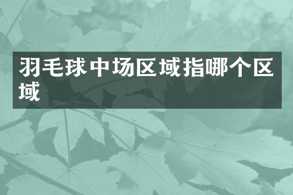 羽毛球中场区域指哪个区域