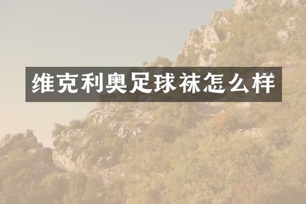 维克利奥足球袜怎么样